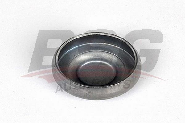 BSG 30122016 Motor Su Tapası