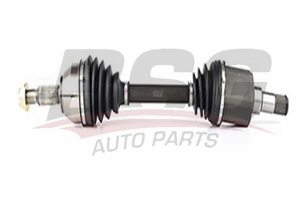 BSG 30350002 Aks Komple Ön Sol