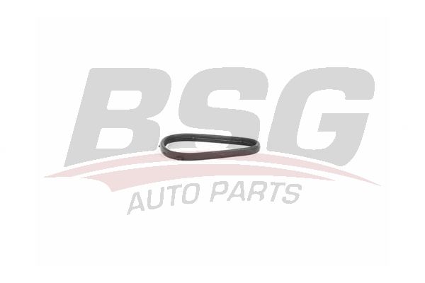 BSG 15116010 Yağ Filtre Hazne Contası