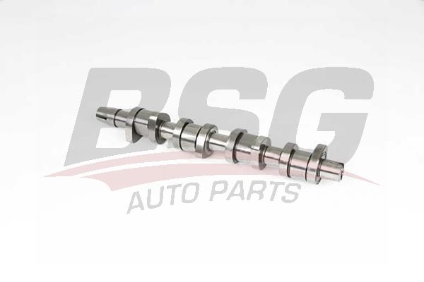 BSG 90108013 Eksantrik Mili