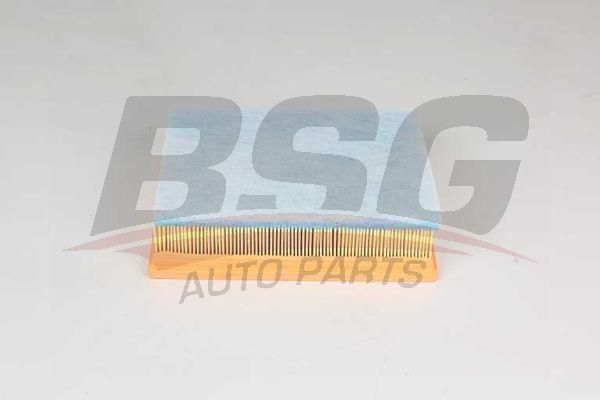 BSG 75135021 Hava Filtresi