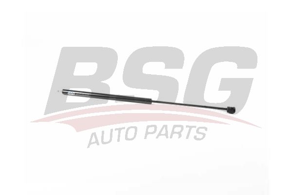 BSG 75980031 Motor Kaput Amortisörü - . Görsel