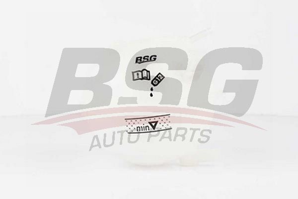 BSG 90550001 Radyatör Yedek Su Deposu - . Görsel
