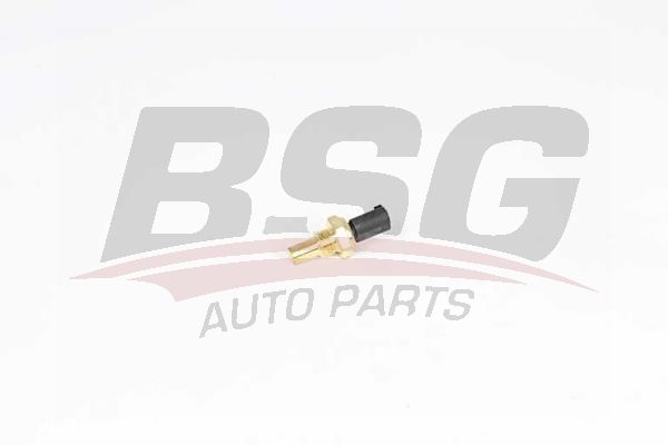 BSG 65840035 Su Sıcaklık Müşürü