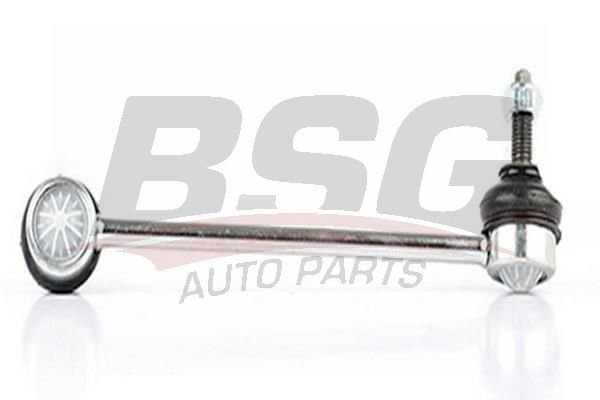 BSG 60310159 Viraj Askı Rotu Ön