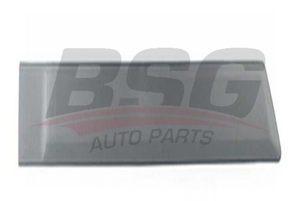 BSG 30924038 Kapı Bandı Arka Sağ