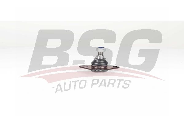 BSG 25310029 Rotil Alt