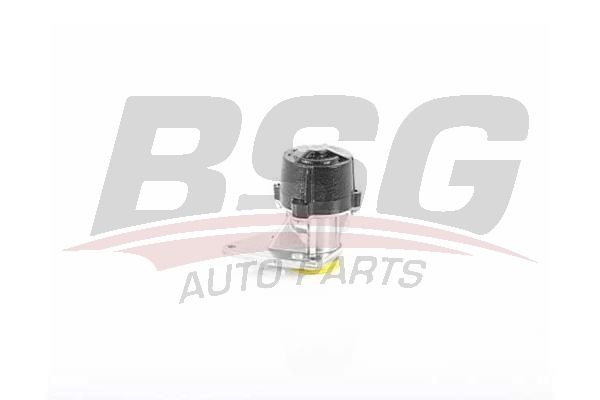 BSG 70235001 Vakum Pompası - . Görsel
