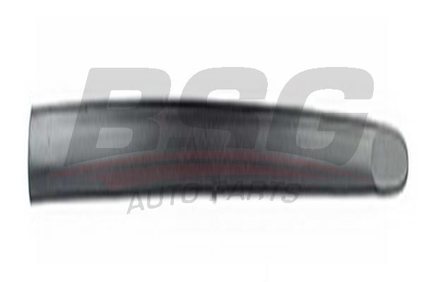 BSG 65924011 Kapı Bandı Ön Sol