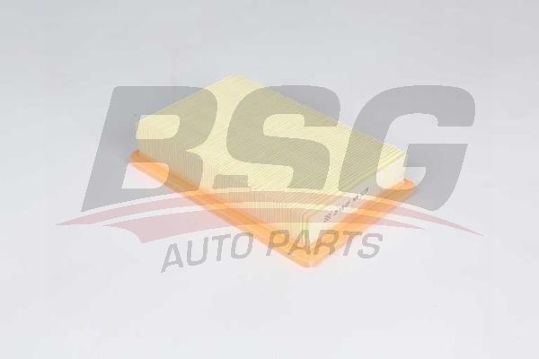 BSG 25135009 Hava Filtresi