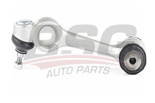BSG 60310148 Rotilli Kol Üst Sol