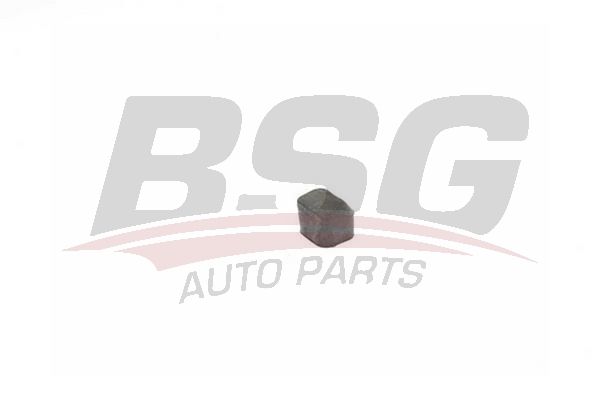 BSG 15700028 Radyatör Alt Takozu - . Görsel