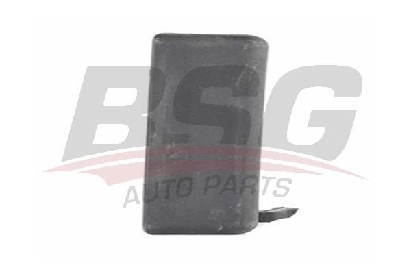 BSG 30970036 Kapı Dış Açma Kolu Ön Sağ