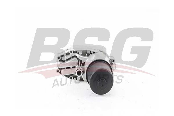 BSG 15507003 Yağ Hazne Soğutucu