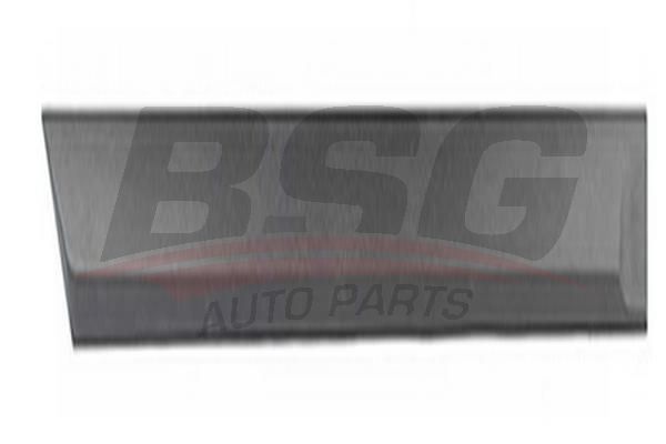 BSG 65925039 Kapı Bandı Arka Sağ
