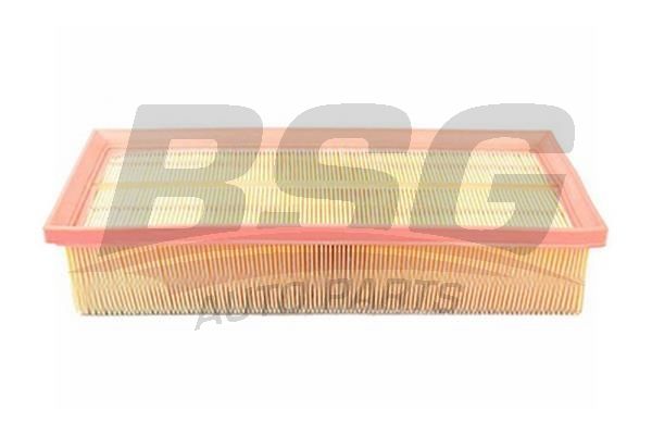 BSG 90135011 Hava Filtresi - . Görsel