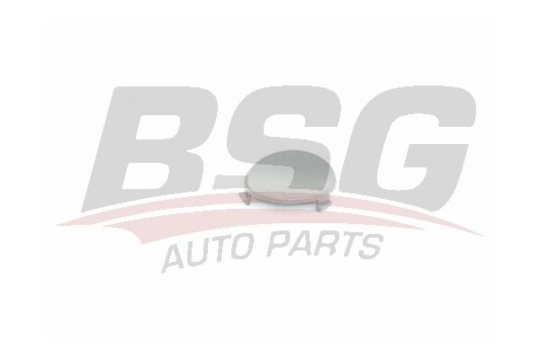 BSG 30922156 Çeki Demir Kapağı Arka