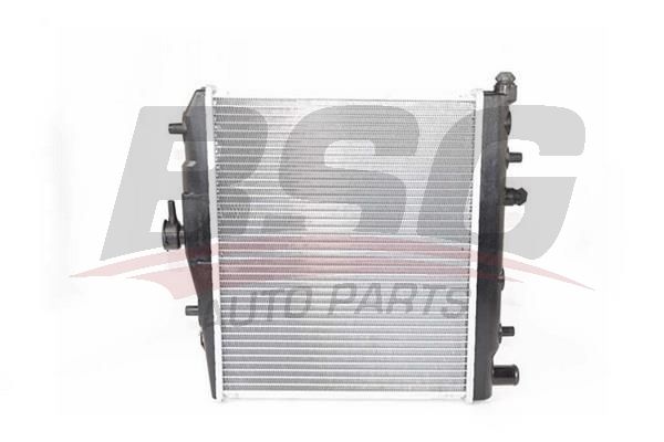 BSG 40520050 Su Radyatörü