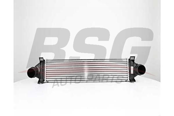 BSG 15535013 Turbo Radyatörü