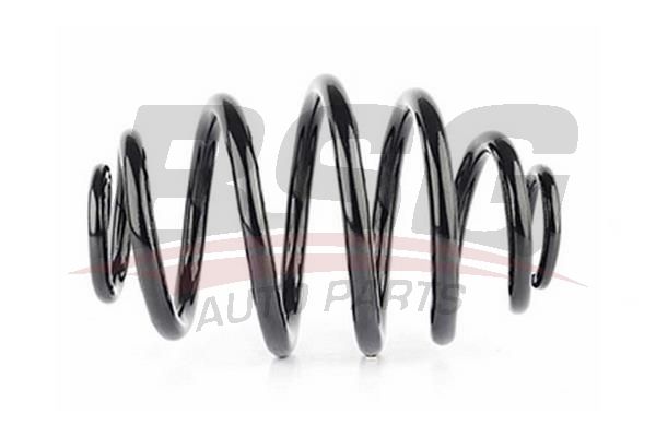BSG 65305011 Helezon Yayı Arka - . Görsel