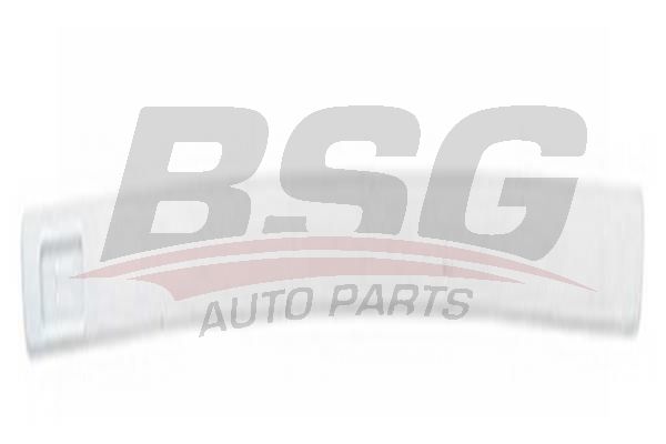 BSG 65925006 Kapı Bandı Ön Sağ