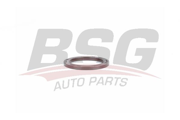 BSG 30116118 Eksantrik Keçesi
