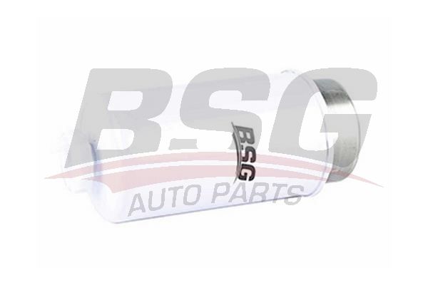 BSG 30130011 Yakıt Filtresi - . Görsel