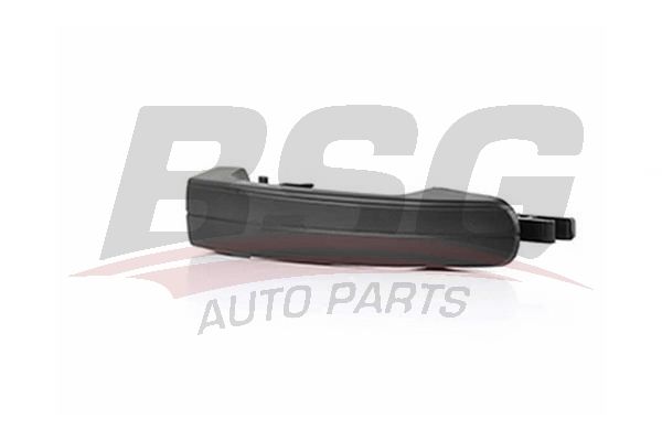 BSG 30970054 Kapı Açma Kolu Dış