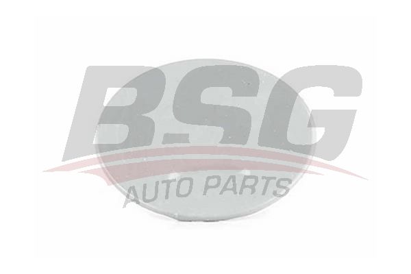 BSG 65922058 Çeki Demir Kapağı Ön