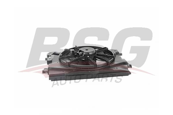 BSG 75510001 Fan Motoru