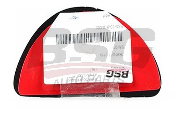 BSG 30910009 Ayna Camı Sağ