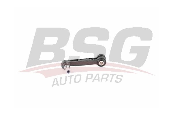 BSG 15310193 Viraj Askı Rotu Arka - . Görsel