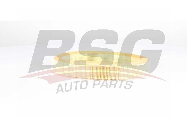 BSG 75135012 Hava Filtresi