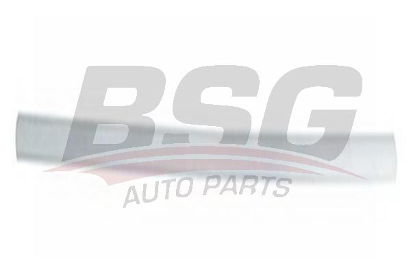 BSG 30924045 Kapı Bandı Takım