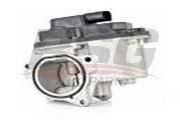 BSG 90836008 Egr Valfi