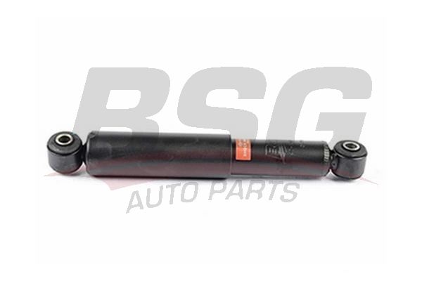 BSG 40300003 Amortisör Arka