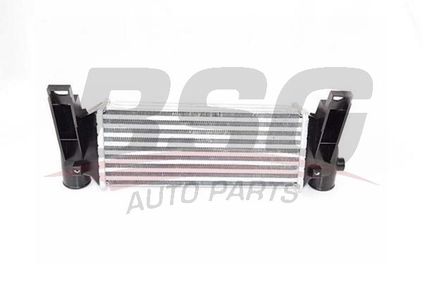 BSG 30535004 Turbo Radyatörü - . Görsel