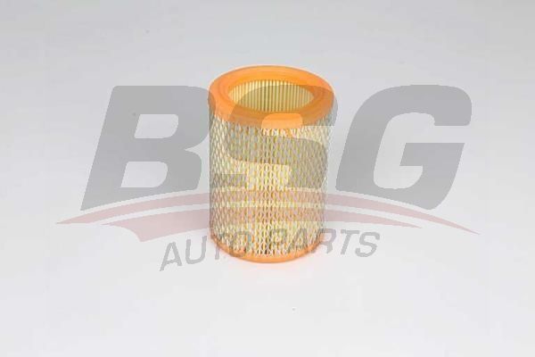 BSG 75135016 Hava Filtresi