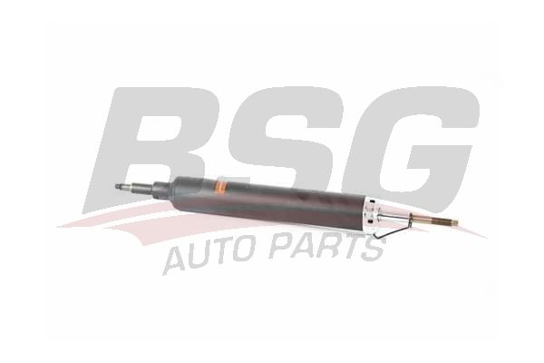 BSG 15300044 Amortisör Arka