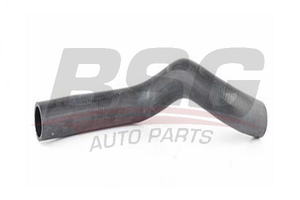 BSG 40720052 Radyatör Hortumu Alt - . Görsel