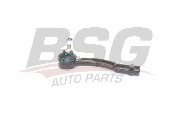 BSG 60310067 Rot Orta