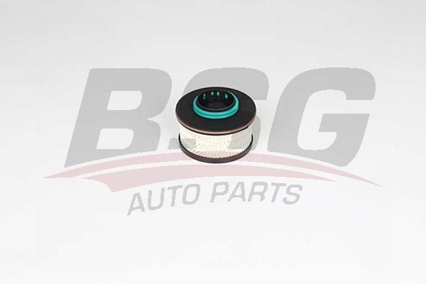 BSG 70130010 Yakıt Filtresi