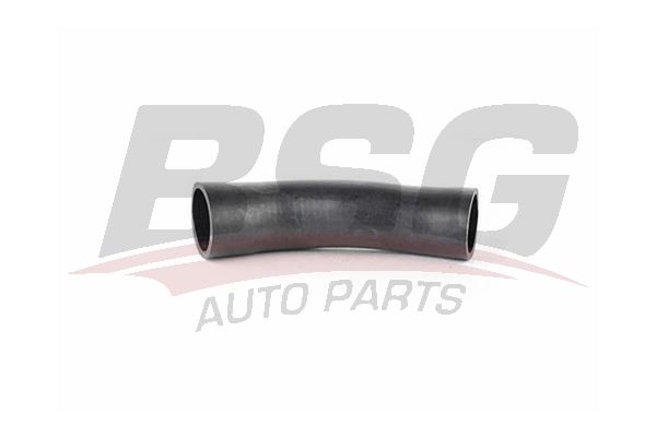 BSG 15720057 Turbo Hortumu - . Görsel