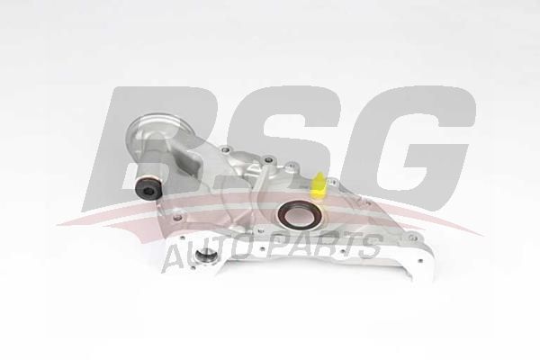 BSG 40101012 Yağ Pompası - . Görsel