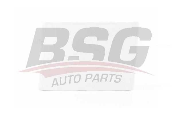 BSG 30922058 Çeki Demir Kapağı Arka