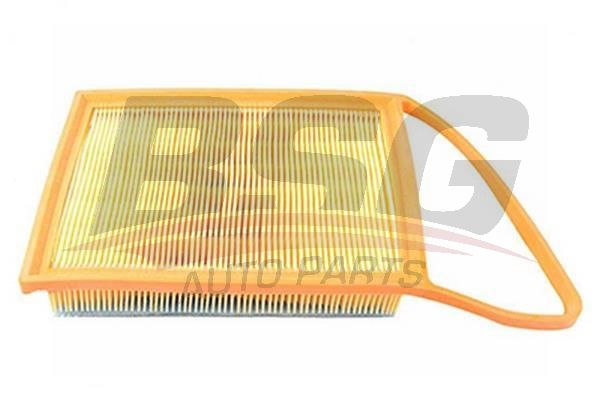 BSG 70135009 Hava Filtresi