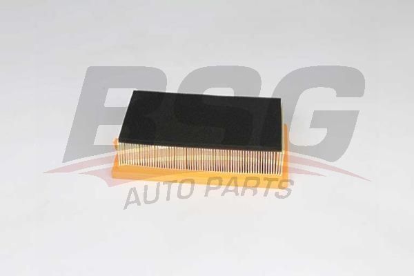 BSG 25135017 Hava Filtresi