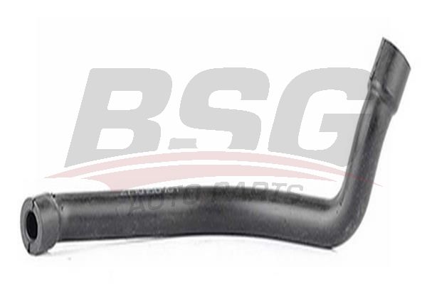 BSG 60720157 Hava Hortumu