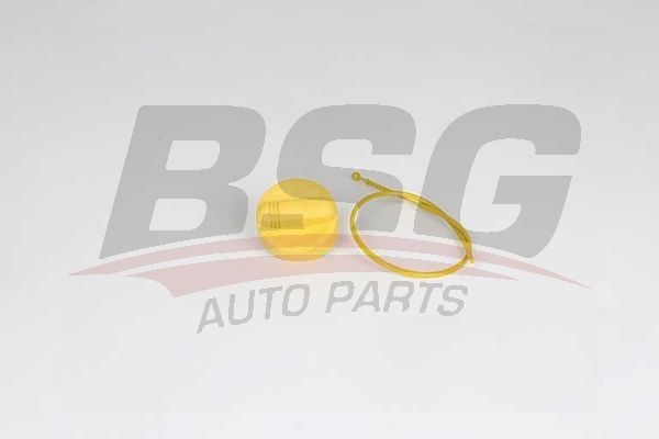 BSG 75123009 Motor Yağ Çubugu