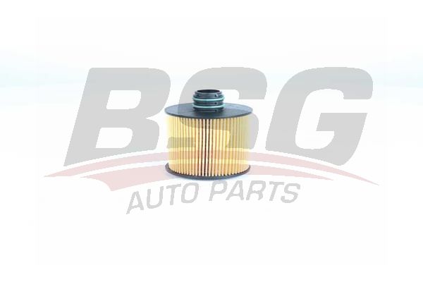 BSG 25140004 Yağ Filtresi